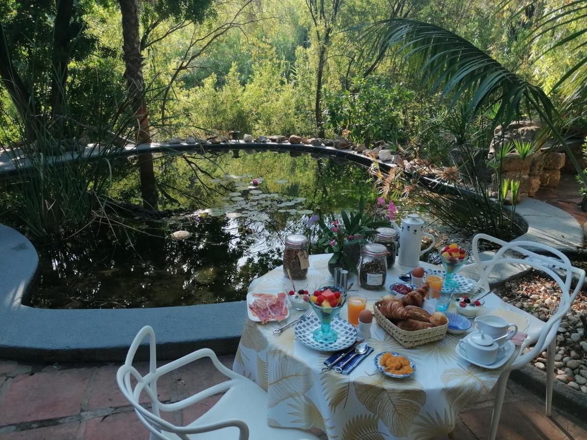 La Fuente Oase B&B Coín Εξωτερικό φωτογραφία