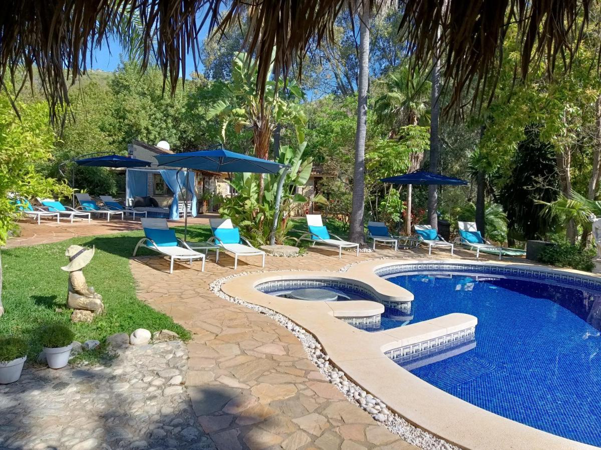 La Fuente Oase B&B Coín Εξωτερικό φωτογραφία